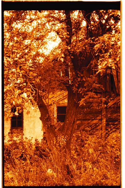 Szczytowa sciana chatki twojej prababci- zdjecie dla Ulki