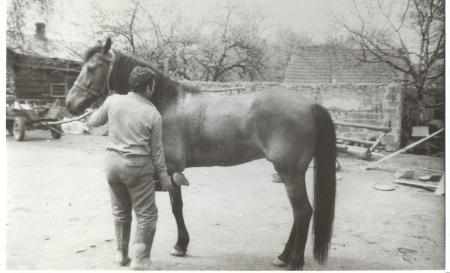 dawne czasy poszly w dal...