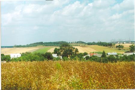 in montes patrios et ad incunabula nostra...